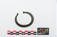 Foto von Bronzemelonenarmreif (NHMW-PRAE-024590)